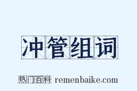 冲管组词是什么意思的图片